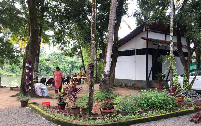 Sneha Naturo Ayur Yoga Centre