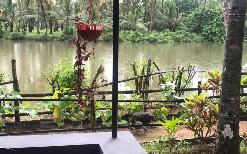 Sneha Naturo Ayur Yoga Centre