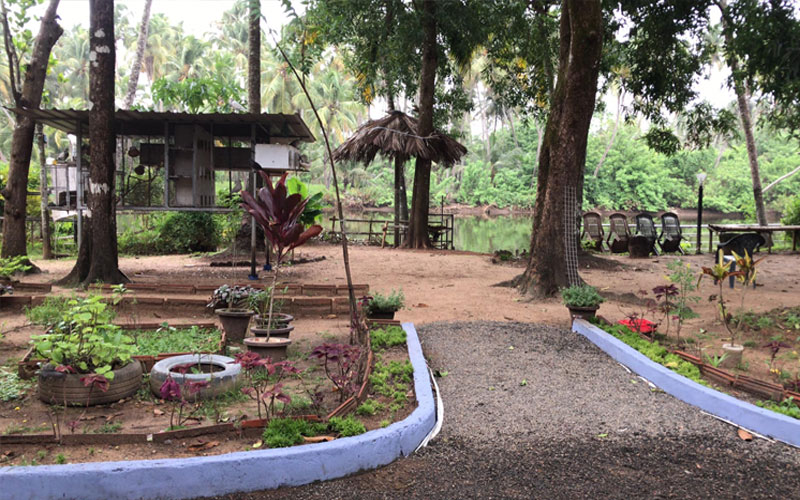 Sneha Naturo Ayur Yoga Centre