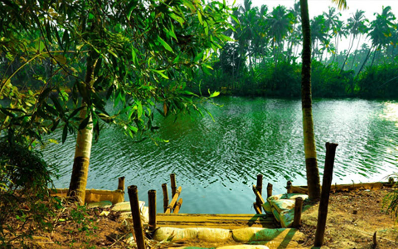 Sneha Naturo Ayur Yoga Centre