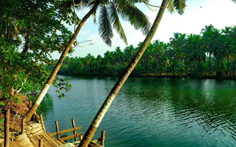 Sneha Naturo Ayur Yoga Centre